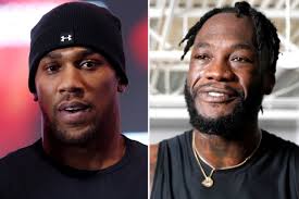 Boxing fans celebrate as they realise Anthony Joshua and Deontay Wilder  double-header is