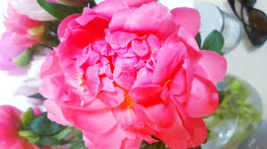 Maybe you would like to learn more about one of these? How The Secret Language Of Flowers Can Help You Say What You Feel Lisa S Notebook