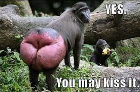 We did not find results for: Top 50 Whtasapp Fuuny Kiss Pic Download And Share Here Fun Kiss Images