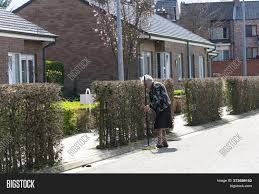 De grootste partij is in kleur. Sint Gillis Waas Image Photo Free Trial Bigstock