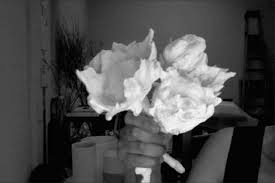 Alaleh Alamir | Cnap