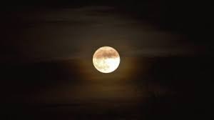 Wann ist vollmond und neumond? Sauen Bei Vollmond Das Besondere Jagderlebnis Jagd1