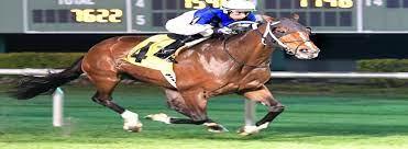 Horse racing in houston, texas. Sam Houston Race Park Hosts Texas Champions Stakes Over The Final Weekend Of The Live Thoroughbred Racing Season Sam Houston Race Park