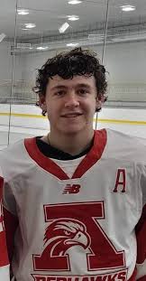 High School Hockey Notebook: Do-it-all multi-sport star DiFiore true Golden  Warrior