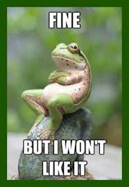 Fine But I Won T Like It Funny Good Night Images Funny Images Funny Pictures