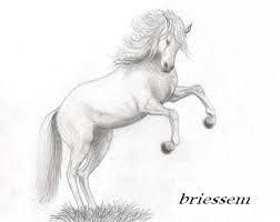 Steigerend Paard Echt Leuk Voor Te Tekenene Paard Tekeningen Meisjes Tekenen Tekenen