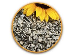 Our sunflower seeds produce huge flowers that are pollen free with a variety of radiant colors while in bloom. Home Page Bulgarian Commodities Ltd