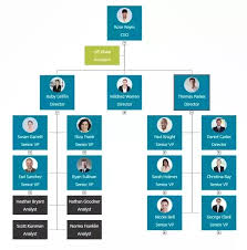 What Is The Best Online Visualization Of An Org Chart Quora