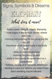 Pin By Robyn Lynn Kretschmer On Lucid Dreams Elephant Quotes Elephant Tattoo Meaning Dream Symbols