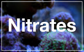 Image result for images nitrates in well water