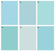 The first time i made tiffany blue cookies, i wasn't concerned in the least. Color Theory Robin S Egg Blue Mcgrath Ii Blog Robins Egg Blue Paint Tiffany Blue Paint Blue Paint Colors