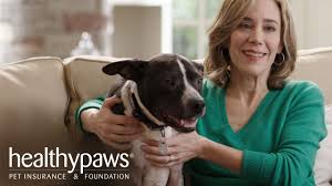 Customer service has been kind, timely, responsive and. Healthy Paws Pet Insurance Reviews Is Their Coverage Good