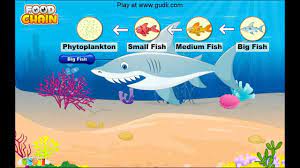 The Food Chain C2 W3 Homeschool Science Life Science Lessons Life Science Activities