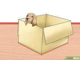 So why not get a new puppy owner a gift to help them out? 3 Ways To Give A Puppy As A Christmas Gift Wikihow