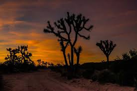 A series of locations based in joshua tree, ca and tucson, az bordering joshua tree national park and saguaro national park for people to find time and space out in nature to reflect, reset, and create. Thoughts On Driving The Southern California Desert Travel Past 50