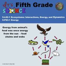 This Resource Includes Everything You Need To Teach The Fifth Grade Ngss Life Science 5 Ls2 1 Ecosystems Interactions Ener Life Science Science Units Science