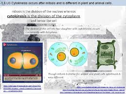 We did not find results for: 1 6 Cell Division Essential Idea Cell Division