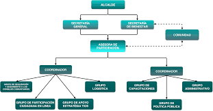 Funciones y deberes de la entidad. Organigrama De La Asesoria De Participacion Ciudadana De La Alcaldia De Cali