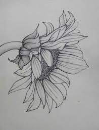 We made it really, really simple for people to make a blog and put whatever they want on it. Love This For A Tat Fiori Disegnati A Matita Come Disegnare Fiori