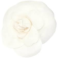 Check spelling or type a new query. Chanel White Camellia Flower Pin In Original Chanel Gift Box At 1stdibs