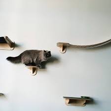 Cat Platform Swing Bridge Original Etsy Platform Swing Swing Cats