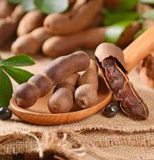 Image result for Tamarindus