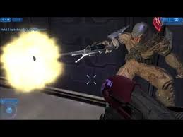 Of or pertaining to a beast, animal; Halo 2 Which Unsc Weapons Are Brutes Able To Use Youtube