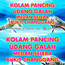 Kolam Pancing Udang Galah Ugs Bukit Changgang Home Facebook