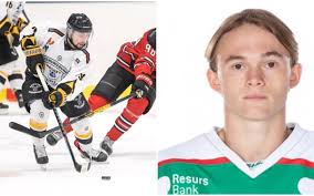 Hockeyspelare från Rögle tar plats i Stenungsunds HF