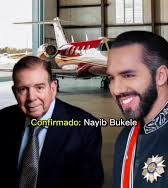 Elsa Crespo (@elsacrespo13)