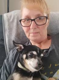 Should I give my dog something to calm his nerves during a long car trip?