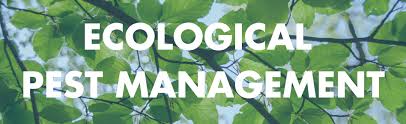 Structural, biological, biological plus structural, and cultural. Defining A Strong Ipm Or Epm Program Beyond Pesticides