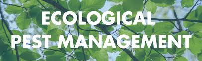 Cultural methods biopesticides and botanicals — it includes removal or destruction of breeding refuges and over wintering of pests. Defining A Strong Ipm Or Epm Program Beyond Pesticides