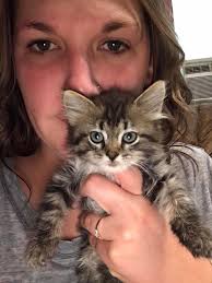 Validation for keeping four cats needed