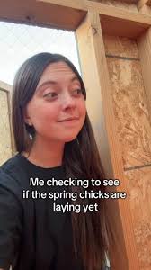 Are your spring chicks laying yet? #chicken #PNW #garden #farm #homestead