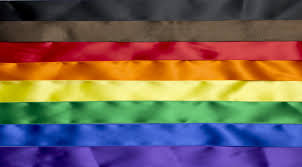 Lgbtqia+ pride flags are colorful and meaningful! Philadelphia Pride Flag Opposition Is A Sign Of Racism In The Lgbtq Community Teen Vogue