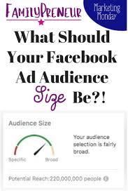 Size Matters Facebook Ad Audience Size That Is Meg Brunson In 2020 Facebook Marketing Strategy Facebook Ad Facebook Ads Examples