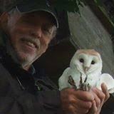 A THOUSAND CHICKS FOR OUR BARN OWL PROJECT!! Howard Broughton.