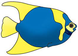 You can use this image for backgrounds on personal computer with high quality resolution. Color Fish Coloring Image