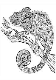 The basic form of most mandalas is a circle in which are depicted symbolic gates of the cosmos. Pin On Coloring Pages For Kids