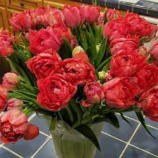 Pin On Flowers