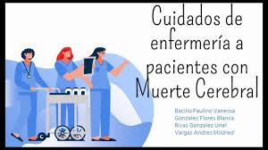 1,753 likes · 3 talking about this. Enfermeria Y Muerte Cerebral Youtube