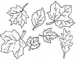 Autumn is ripe with beautiful colors, but they're not spring … 20 Free Printable Fall Leaves Coloring Pages Everfreecoloring Com