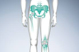 We did not find results for: Orthopaedic Surgery