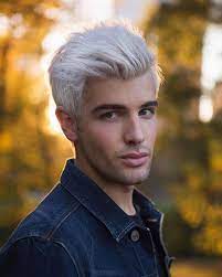 Daniel Christopher Preda On Instagram Having A Fall Moment In Central Park And Feeling Very Platinum Than Frisuren Haarschnitte Haarschnitt Manner Frisuren