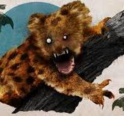 How Australia's drop bear came to be its most deadly – and ...