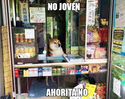 My legs are short my body s long hope you like this corgi. Dogs Know Your Meme