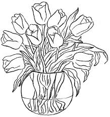 Rose is a flowering plant and its scientific name is rosa. Rose Flower Vase Drawing Picture