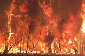 The Australian Bushfires Fire Australia Backyard Fire