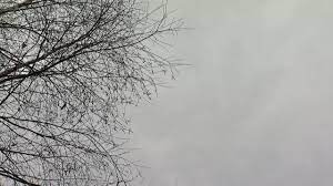 We did not find results for: What Does Partly Cloudy Actually Mean Youtube